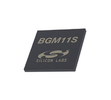 BGM11S12F256GA-V2R Image